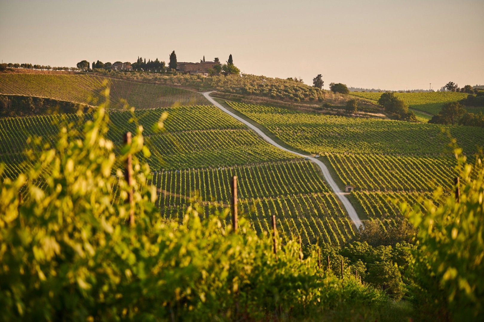 Luxury jazz events in Tuscany - professional band for weddings and exclusive events in the heart of Italian art